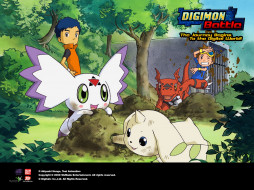 Digimon Battle     1600x1200 digimon, battle, , 