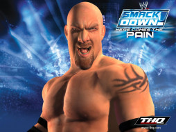 WWE SmackDown! Here Comes the Pain     1280x960 wwe, smackdown, here, comes, the, pain, , 