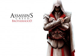 , , assassin`s, creed, brotherhood