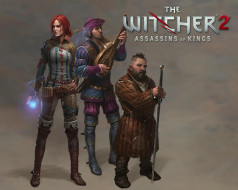 the, witcher, assassins, of, kings, , 
