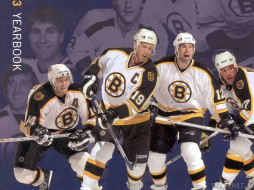 Boston Bruins     1024x768 boston, bruins, , nhl