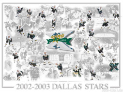 Dallas Stars 02-03     1024x768 dallas, stars, 02, 03, , nhl