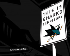 Sharks Territory     1280x1024 sharks, territory, , , 