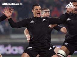 All Blacks     1024x768 all, blacks, , 