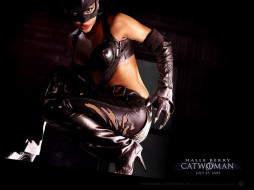 Catwoman     1024x768 catwoman, , 