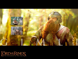       1365x1024 , , , , the, lord, of, rings, fellowship, ring