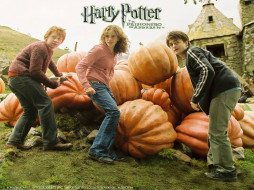 Harry Potter and the Prisoner of Azkaban обои для рабочего стола 1024x768 harry, potter, and, the, prisoner, of, azkaban, кино, фильмы