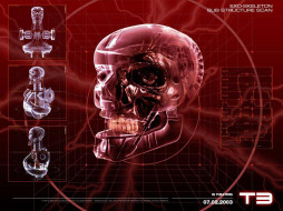 Terminator 3: Rise of the Machines     1024x768 terminator, rise, of, the, machines, , 