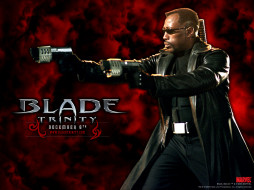 Blade: Trinity     1024x768 blade, trinity, , 