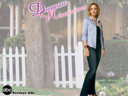 Desperate Housewifes     1024x768 desperate, housewifes, , , housewives