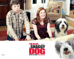 , , the, shaggy, dog