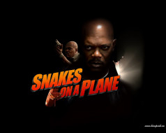 Snakes On A Plane     1280x1024 snakes, on, plane, , 
