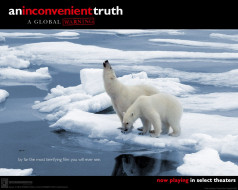 An Inconvenient Truth     1280x1024 an, inconvenient, truth, , 