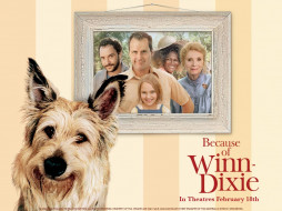 Because Of Winn-Dixie     1024x768 because, of, winn, dixie, , 