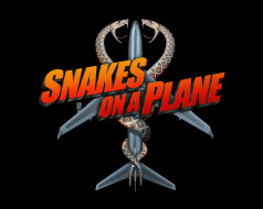      1280x1024 , , snakes, on, plane