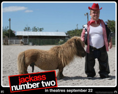 Jackass Number Two     1280x1024 jackass, number, two, , 