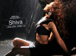 Shiva     1024x768 shiva, , 