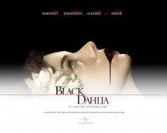 the, black, dahlia, , 