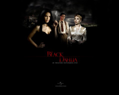 The Black Dahlia     1280x1024 the, black, dahlia, , 