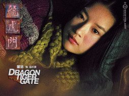      1024x768 , , dragon, tiger, gate