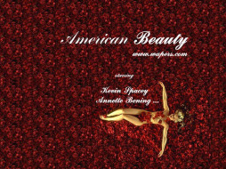 , , american, beauty