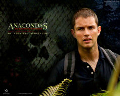 , , anacondas