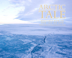 arctic, tale, , 