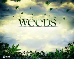 weeds, , 