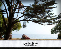 Surfer, Dude     1280x1024 surfer, dude, , 