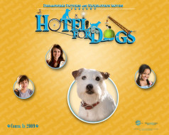 Hotel for Dogs     1280x1024 hotel, for, dogs, , 