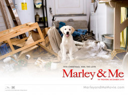 Marley & Me     1280x960 marley, me, , 