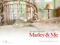 Marley & Me     1280x960 marley, me, , 