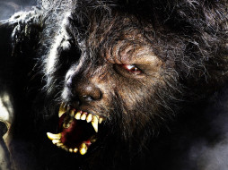 The Wolf Man     1600x1200 the, wolf, man, , 