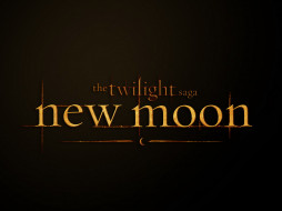 Twilight 2: New Moon     1600x1200 twilight, new, moon, , , the, saga