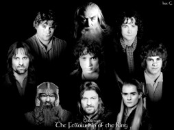 , , the, lord, of, rings, fellowship, ring