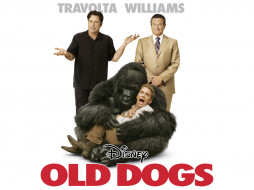 Old Dogs     1600x1200 old, dogs, , 