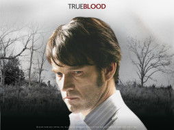 True Blood     1024x768 true, blood, , 