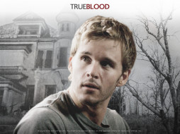 True Blood     1024x768 true, blood, , 