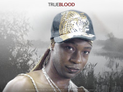 True Blood     1024x768 true, blood, , 