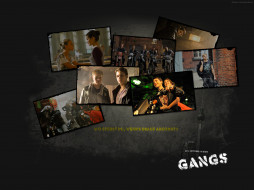 gangs, , 