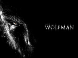 The Wolf Man     1600x1200 the, wolf, man, , 