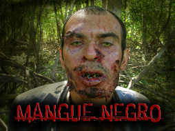 Mangue Negro     1024x768 mangue, negro, , 