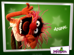 The Muppets - Animal     1024x768 the, muppets, animal, , , muppet, show