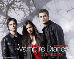 The Vampire Diaries     1280x1024 the, vampire, diaries, , 
