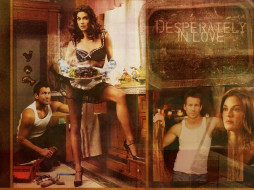      1024x768 , , desperate, housewives