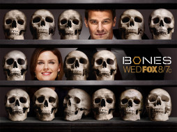 bones, , 