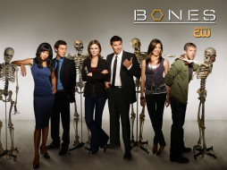 Bones     1600x1200 bones, , 