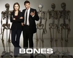      1280x1024 , , bones