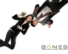 , , bones
