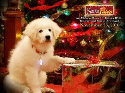 The Search for Santa Paws     1600x1200 the, search, for, santa, paws, , 